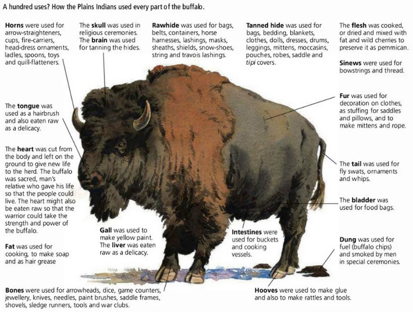 Graph of how bison were used by Native Americans