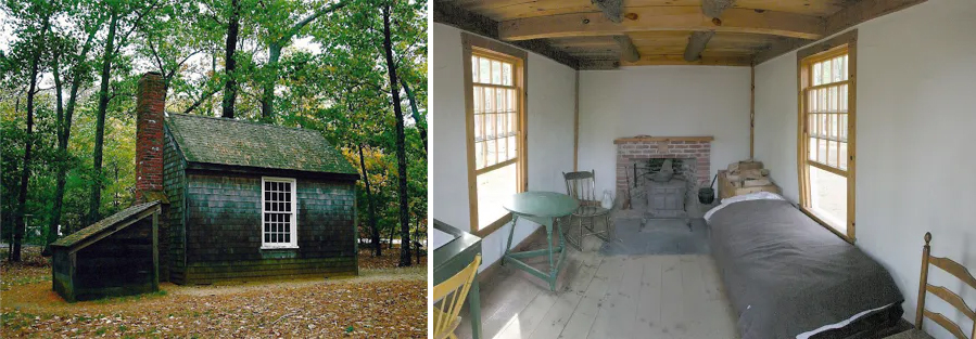 Throeau's cabin interior and exterior