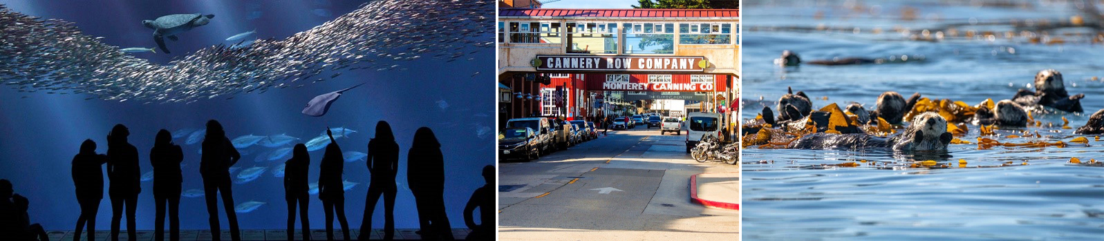 Cannery Row collage