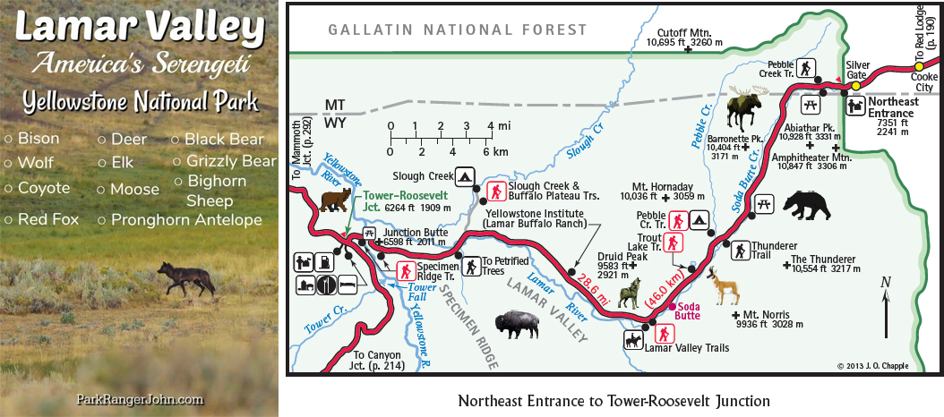 Lamar Valley map and animal list