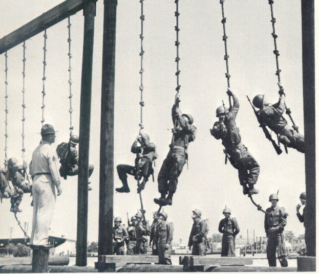 Marines climbing ropes