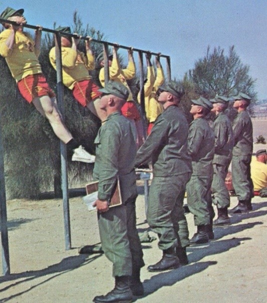 Marines doing pull-ups