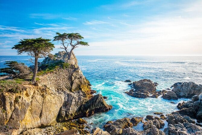 Cypress trees on the shore