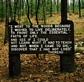 Forest sign with Thoreau quote