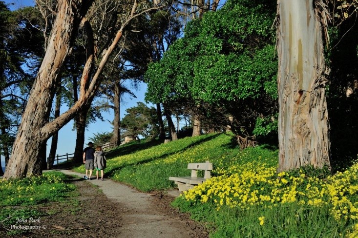 Couple walking in park